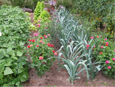 Les Jardins du Parc des Moulins