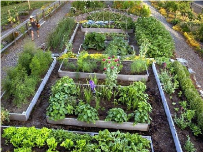 Association des Jardins Ouvriers et Familiaux de Troyes