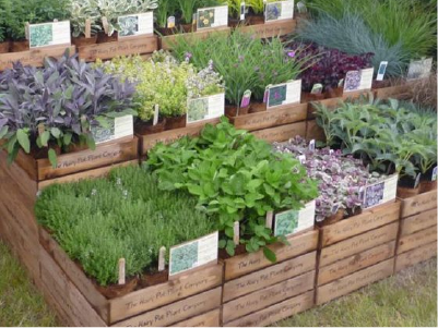 Jardin des Petits Pas